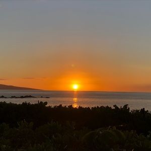 Meet your Posher, Jane